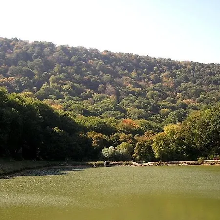 Kemences Fogado 住宿加早餐酒店
